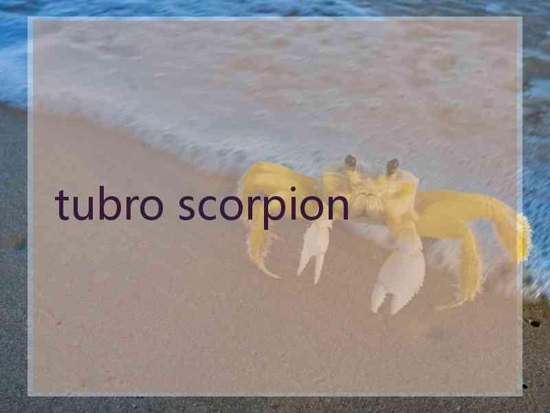 tubro scorpion