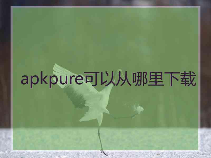 apkpure可以从哪里下载