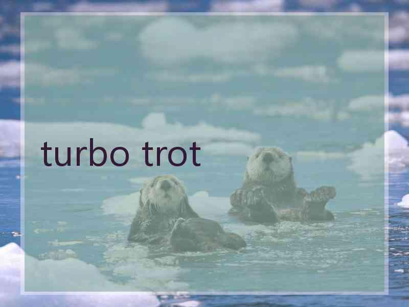 turbo trot